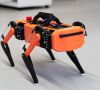 Dingo Open Source Quatroped Robot